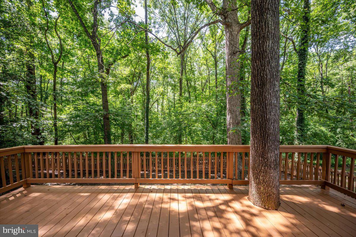 11816 RUTHERFORD DR, FREDERICKSBURG, Virginia 22407, 3 Bedrooms Bedrooms, ,2 BathroomsBathrooms,Residential,For sale,11816 RUTHERFORD DR,VASP2035222 MLS # VASP2035222