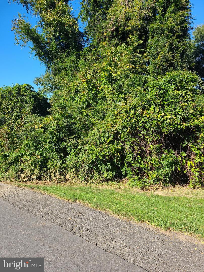 CARIS GLENNE OUTLOT B, HERNDON, Virginia 20171, ,Land,For sale,CARIS GLENNE OUTLOT B,VAFX2257240 MLS # VAFX2257240