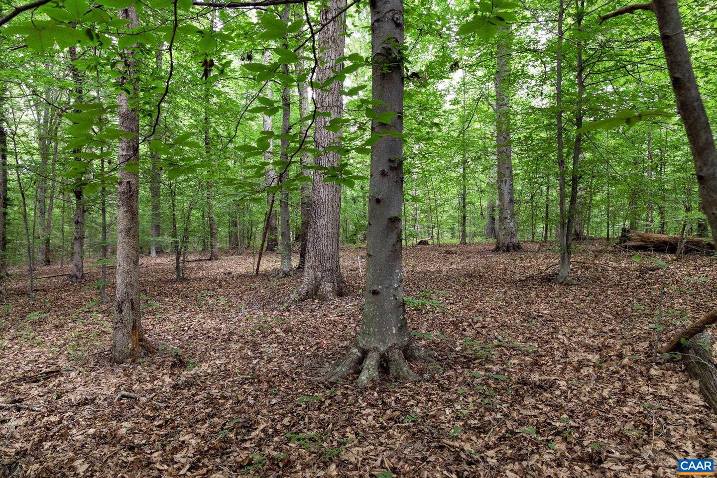 LOT 68 PALMER PL #68, RUCKERSVILLE, Virginia 22968, ,Land,For sale,LOT 68 PALMER PL #68,667495 MLS # 667495