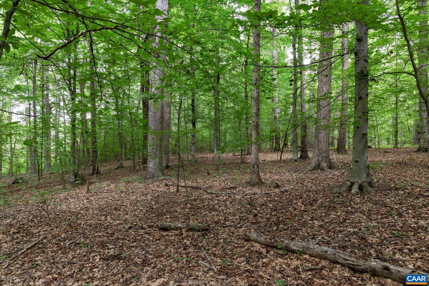 LOT 68 PALMER PL #68, RUCKERSVILLE, Virginia 22968, ,Land,For sale,LOT 68 PALMER PL #68,667495 MLS # 667495