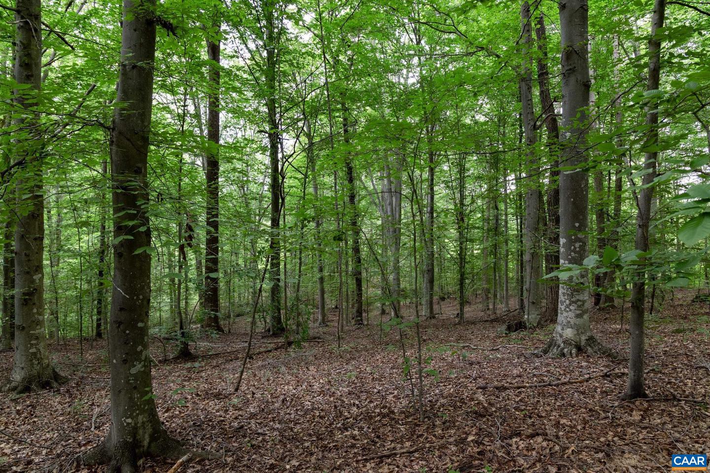 LOT 68 PALMER PL #68, RUCKERSVILLE, Virginia 22968, ,Land,For sale,LOT 68 PALMER PL #68,667495 MLS # 667495