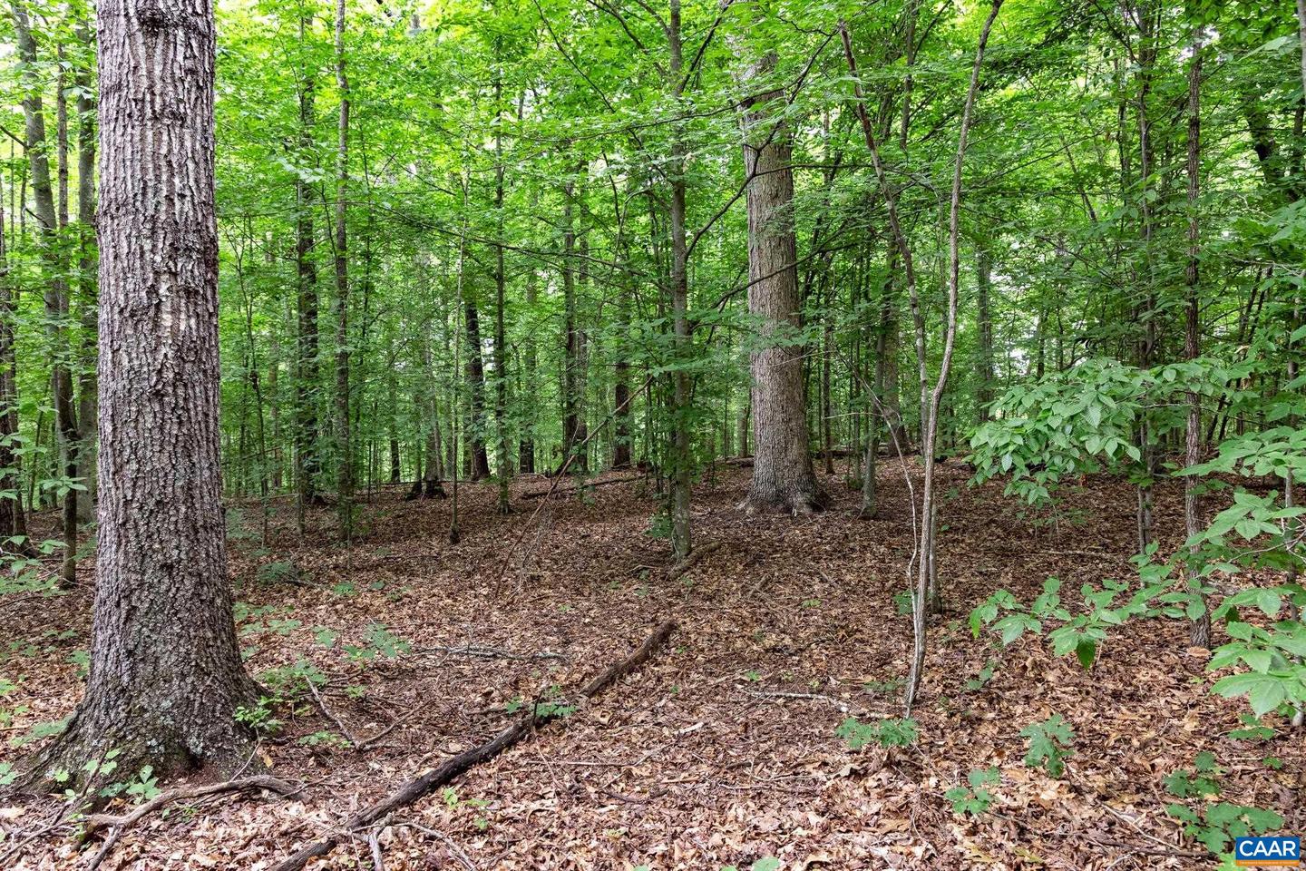 LOT 68 PALMER PL #68, RUCKERSVILLE, Virginia 22968, ,Land,For sale,LOT 68 PALMER PL #68,667495 MLS # 667495
