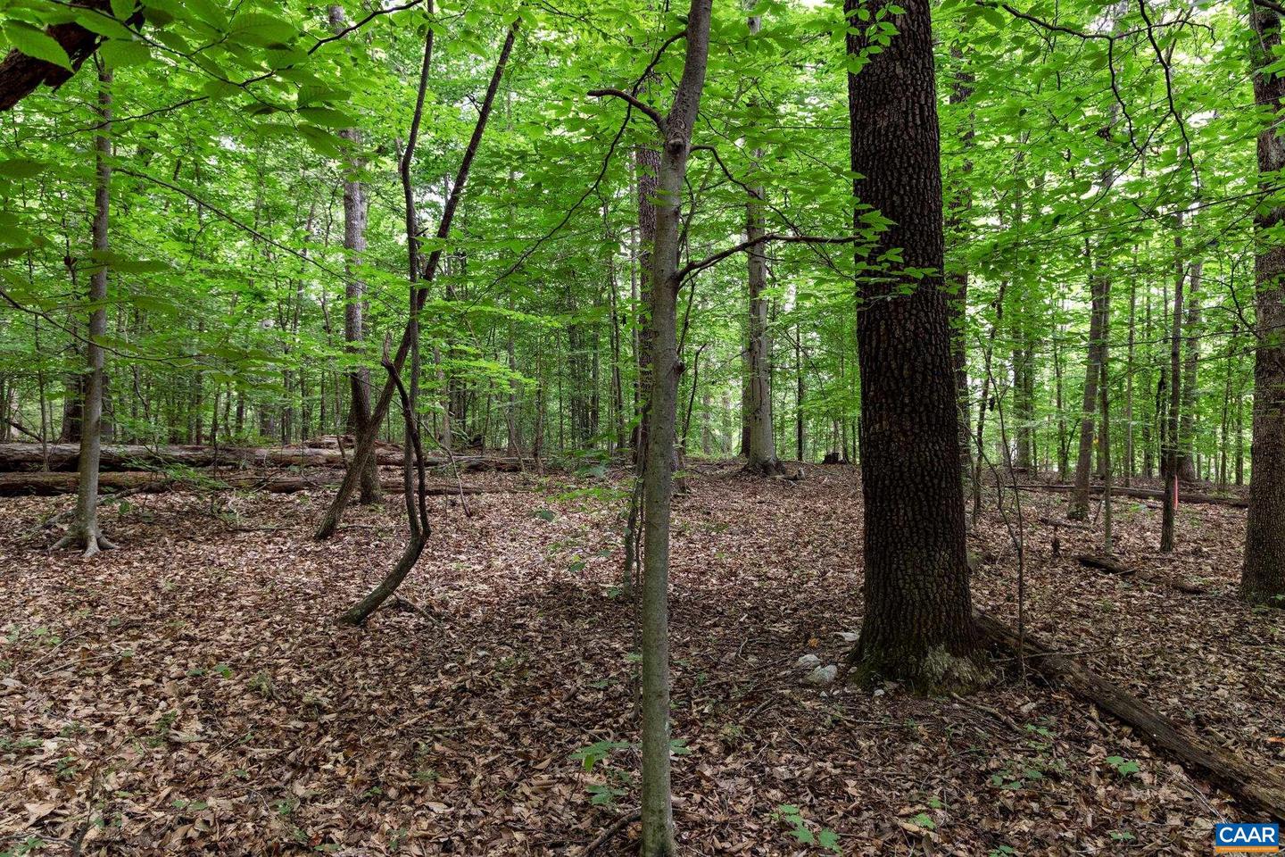 LOT 68 PALMER PL #68, RUCKERSVILLE, Virginia 22968, ,Land,For sale,LOT 68 PALMER PL #68,667495 MLS # 667495