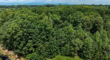 LOT 68 PALMER PL #68, RUCKERSVILLE, Virginia 22968, ,Land,For sale,LOT 68 PALMER PL #68,667495 MLS # 667495