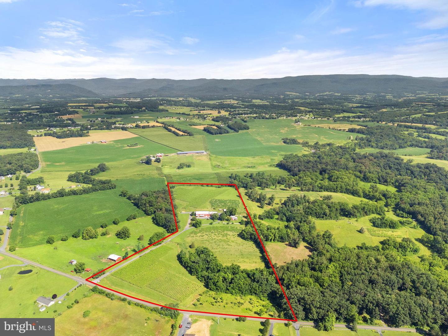 3659 S OX RD, EDINBURG, Virginia 22824, ,Land,For sale,3659 S OX RD,VASH2012160 MLS # VASH2012160