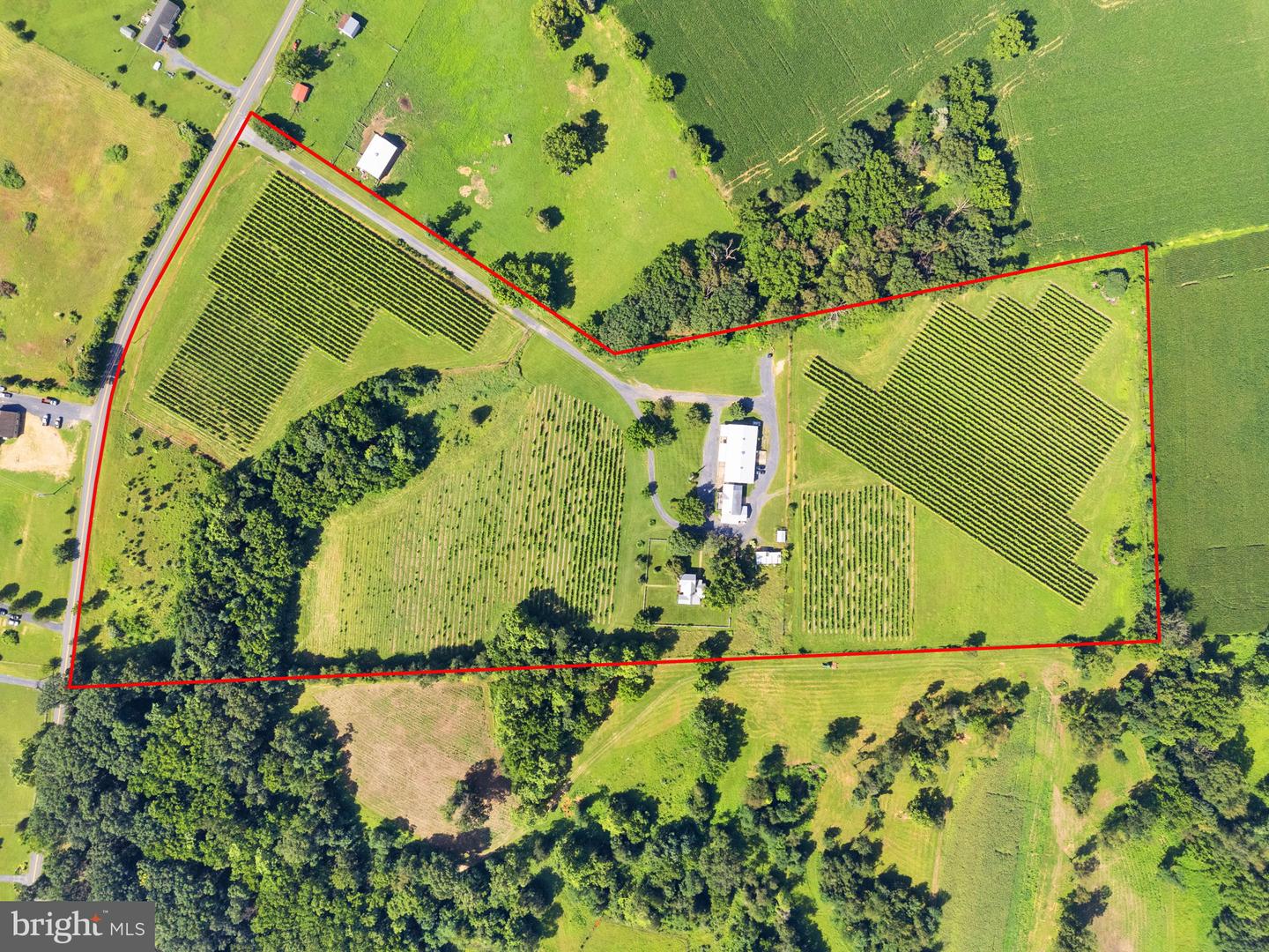 3659 S OX RD, EDINBURG, Virginia 22824, ,Land,For sale,3659 S OX RD,VASH2012160 MLS # VASH2012160