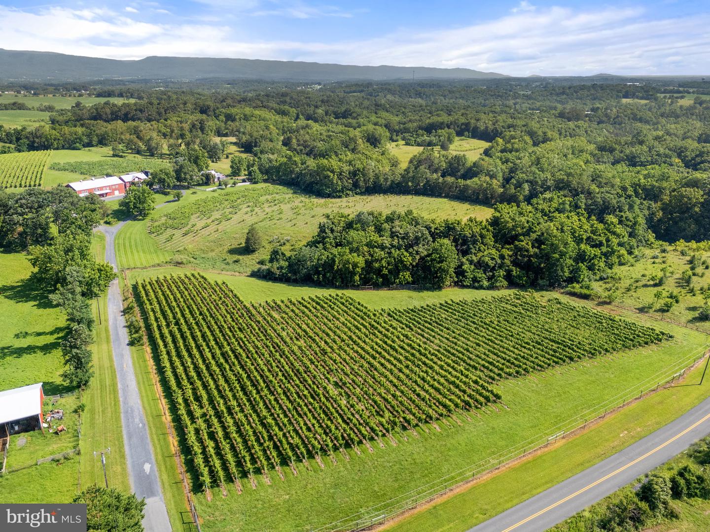 3659 S OX RD, EDINBURG, Virginia 22824, ,Land,For sale,3659 S OX RD,VASH2012160 MLS # VASH2012160