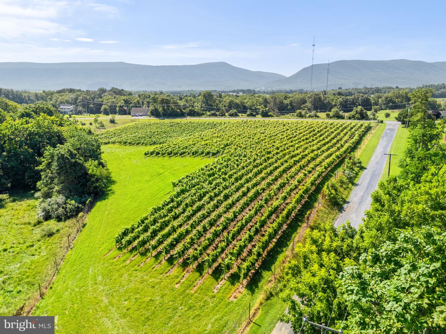 3659 S OX RD, EDINBURG, Virginia 22824, ,Land,For sale,3659 S OX RD,VASH2012160 MLS # VASH2012160