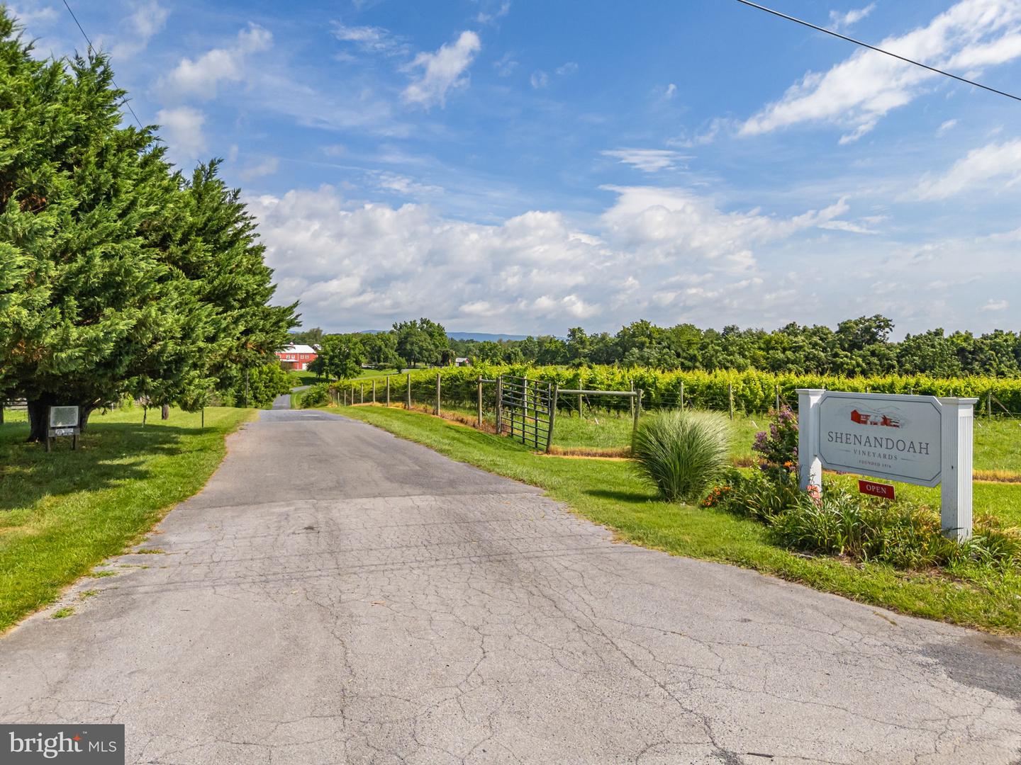 3659 S OX RD, EDINBURG, Virginia 22824, ,Land,For sale,3659 S OX RD,VASH2012160 MLS # VASH2012160