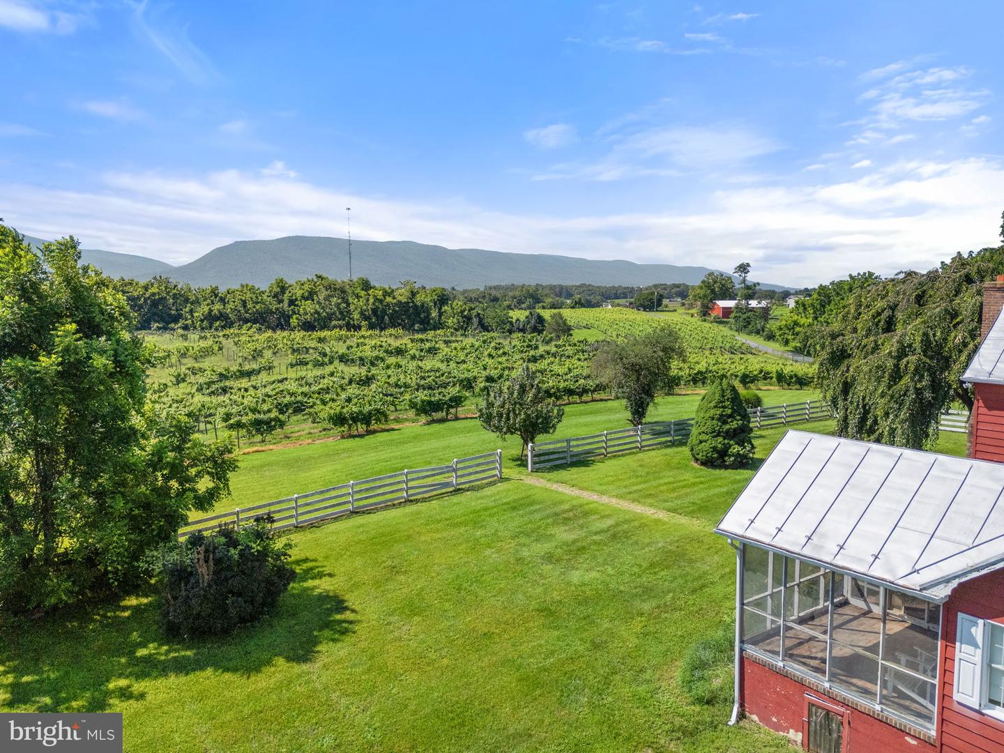 3659 S OX RD, EDINBURG, Virginia 22824, ,Land,For sale,3659 S OX RD,VASH2012160 MLS # VASH2012160