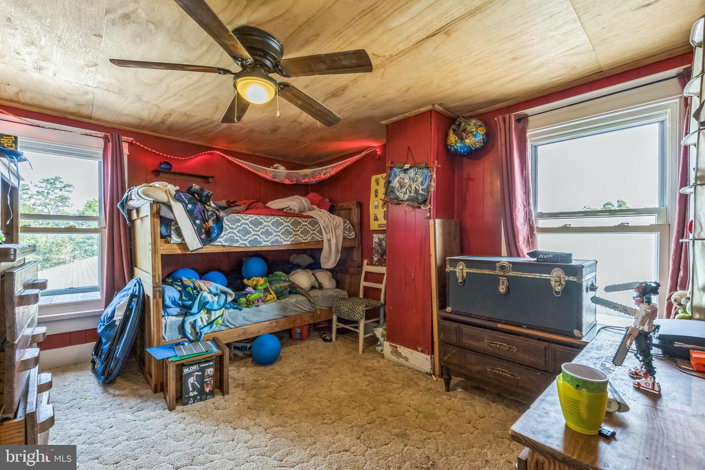 221 KITE HOLLOW RD, STANLEY, Virginia 22851, 4 Bedrooms Bedrooms, ,2 BathroomsBathrooms,Residential,For sale,221 KITE HOLLOW RD,VAPA2005200 MLS # VAPA2005200