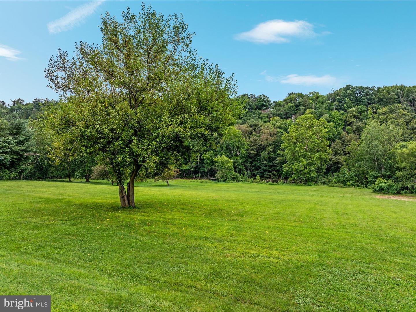 861 BATTLEFIELD BLUFF DR, NEW MARKET, Virginia 22844, 4 Bedrooms Bedrooms, ,3 BathroomsBathrooms,Residential,For sale,861 BATTLEFIELD BLUFF DR,VASH2012082 MLS # VASH2012082