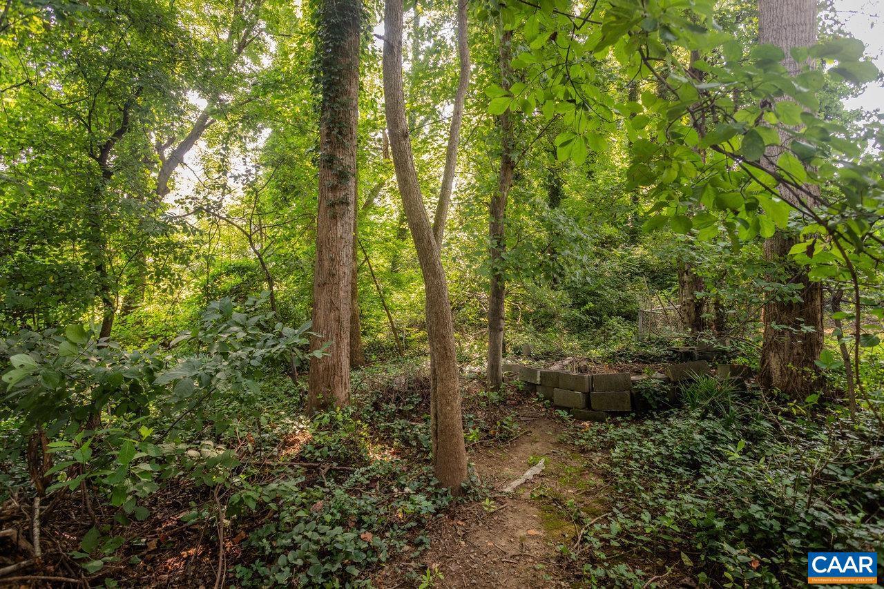 1706 CHERRY AVE, CHARLOTTESVILLE, Virginia 22903, 3 Bedrooms Bedrooms, ,2 BathroomsBathrooms,Residential,For sale,1706 CHERRY AVE,667492 MLS # 667492