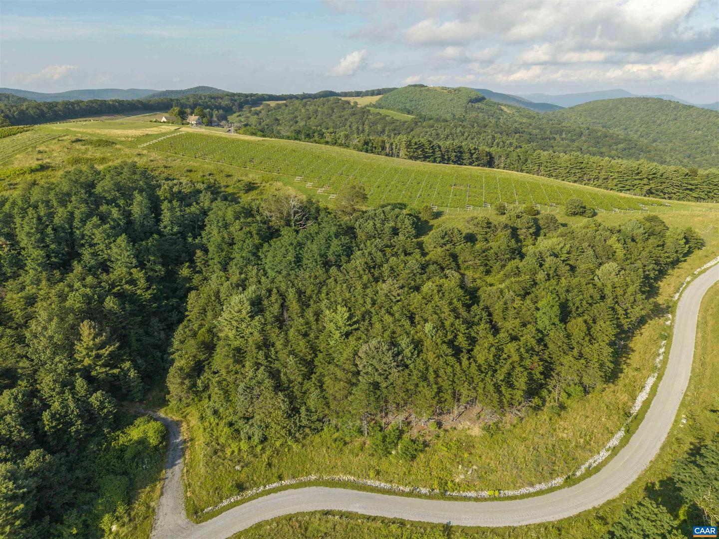 LOT 3 TWELVE RIDGES WAY #3, VESUVIUS, Virginia 24483, ,Land,For sale,LOT 3 TWELVE RIDGES WAY #3,667497 MLS # 667497