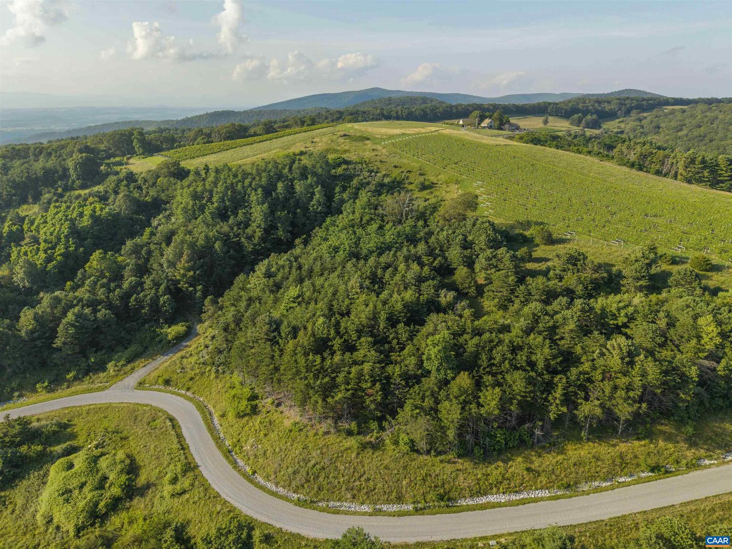 LOT 3 TWELVE RIDGES WAY #3, VESUVIUS, Virginia 24483, ,Land,For sale,LOT 3 TWELVE RIDGES WAY #3,667497 MLS # 667497