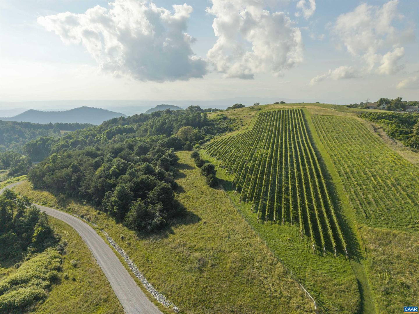 LOT 7 TWELVE RIDGES WAY #7, VESUVIUS, Virginia 24483, ,Land,For sale,LOT 7 TWELVE RIDGES WAY #7,667501 MLS # 667501