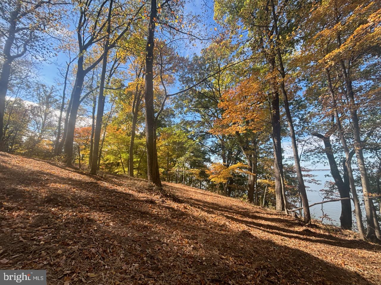 0 WELLINGTON, KING GEORGE, Virginia 22485, ,Land,For sale,0 WELLINGTON,VAKG2006844 MLS # VAKG2006844
