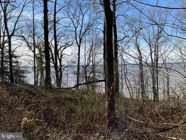 0 WELLINGTON, KING GEORGE, Virginia 22485, ,Land,For sale,0 WELLINGTON,VAKG2006844 MLS # VAKG2006844