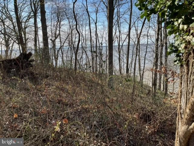 0 WELLINGTON, KING GEORGE, Virginia 22485, ,Land,For sale,0 WELLINGTON,VAKG2006844 MLS # VAKG2006844