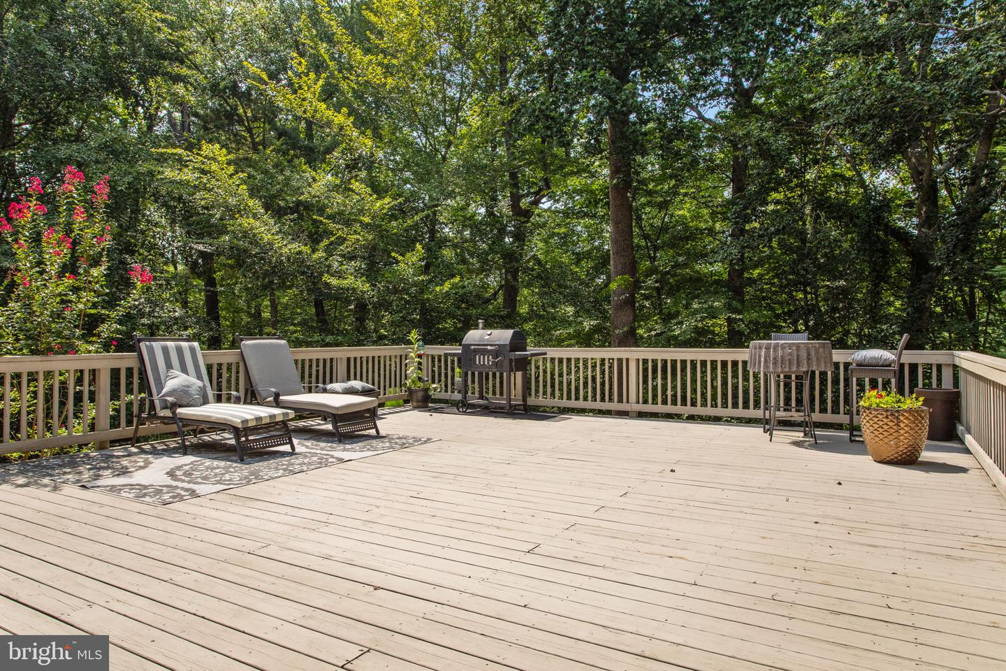 7324 ROSEMEAD LN, CHESTERFIELD, Virginia 23838, 5 Bedrooms Bedrooms, ,4 BathroomsBathrooms,Residential,For sale,7324 ROSEMEAD LN,VACF2001228 MLS # VACF2001228