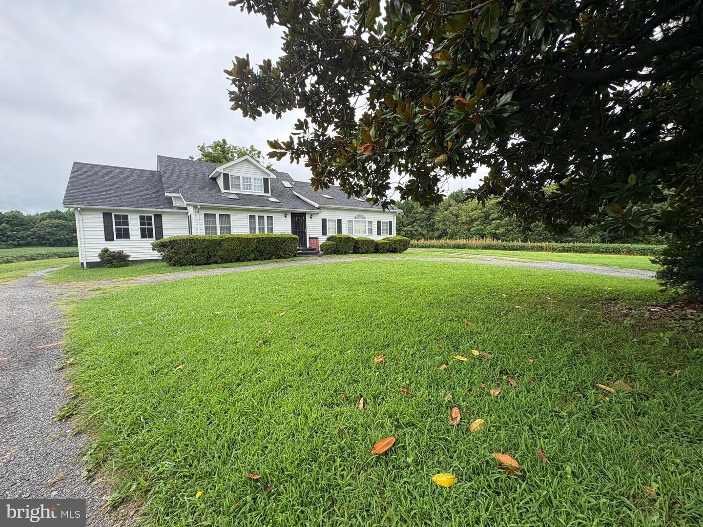 6525 NOMINI HALL ROAD, HAGUE, Virginia 22469, 3 Bedrooms Bedrooms, ,2 BathroomsBathrooms,Residential,For sale,6525 NOMINI HALL ROAD,VAWE2009464 MLS # VAWE2009464