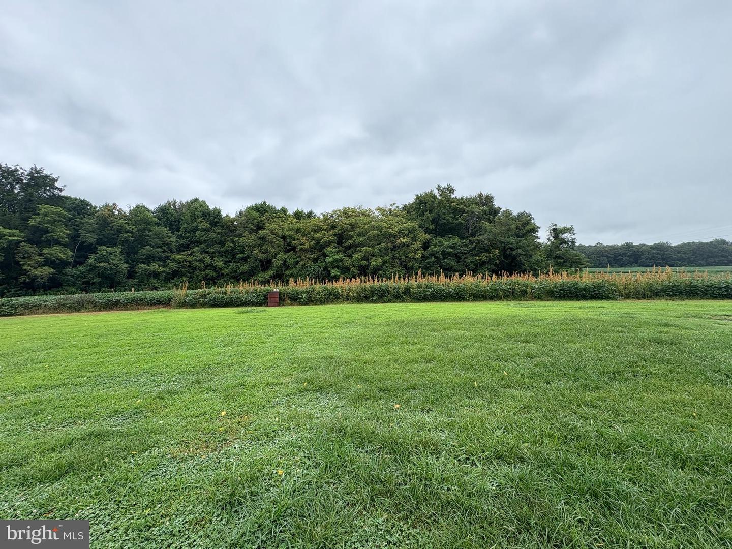6525 NOMINI HALL ROAD, HAGUE, Virginia 22469, 3 Bedrooms Bedrooms, ,2 BathroomsBathrooms,Residential,For sale,6525 NOMINI HALL ROAD,VAWE2009464 MLS # VAWE2009464
