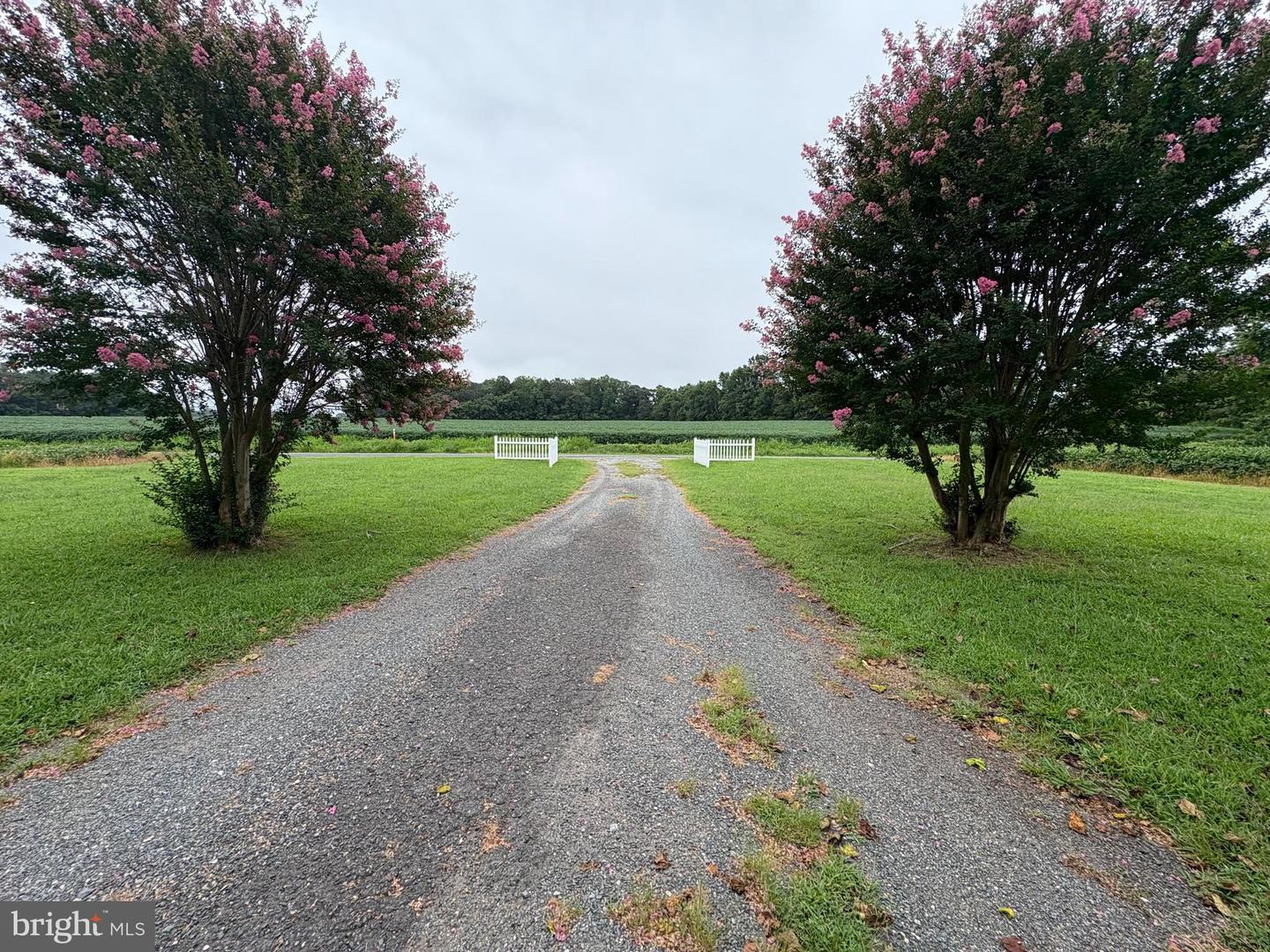 6525 NOMINI HALL ROAD, HAGUE, Virginia 22469, 3 Bedrooms Bedrooms, ,2 BathroomsBathrooms,Residential,For sale,6525 NOMINI HALL ROAD,VAWE2009464 MLS # VAWE2009464