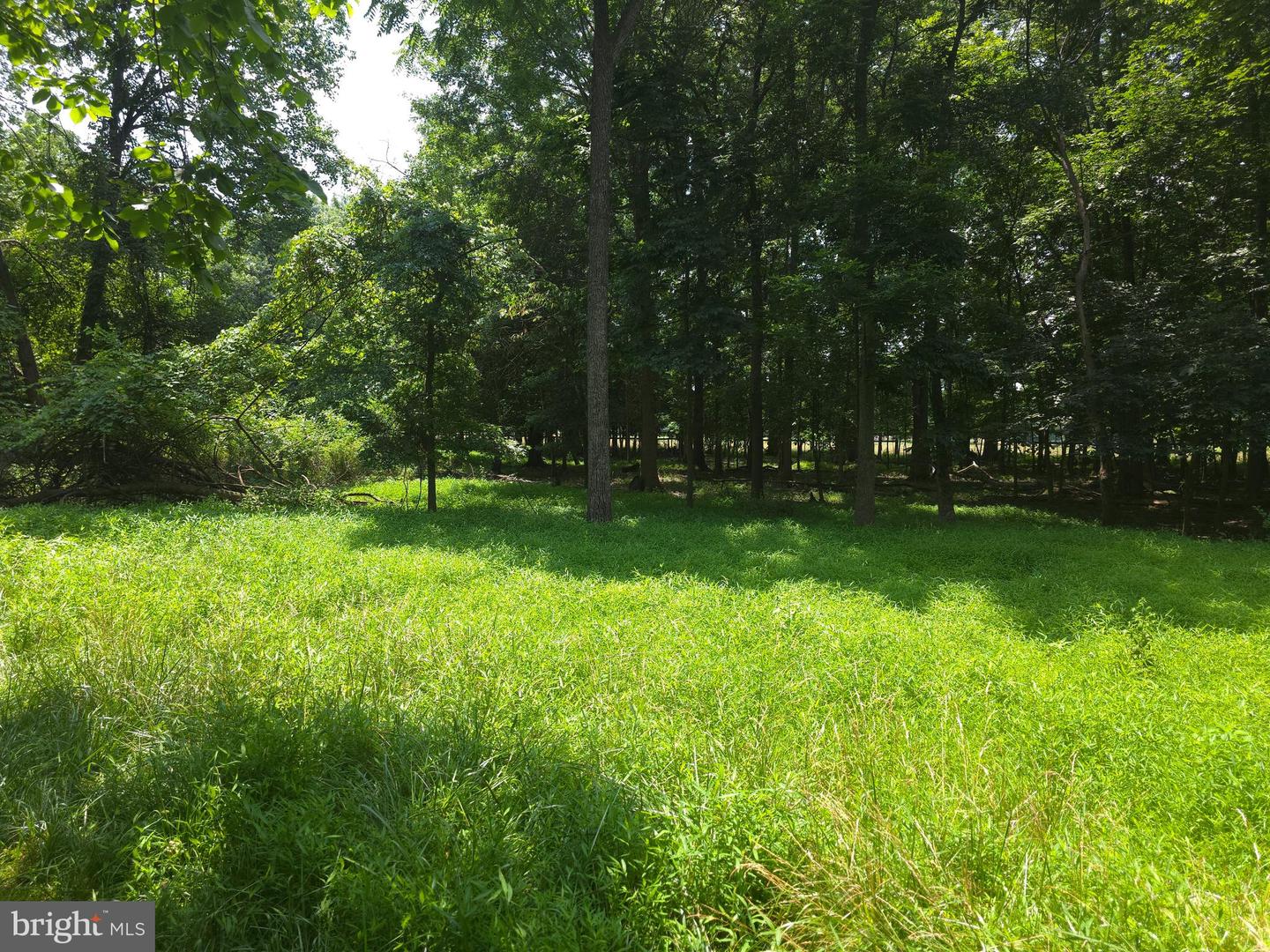 20991 GREENGARDEN RD, BLUEMONT, Virginia 20135, ,Land,For sale,20991 GREENGARDEN RD,VALO2095738 MLS # VALO2095738