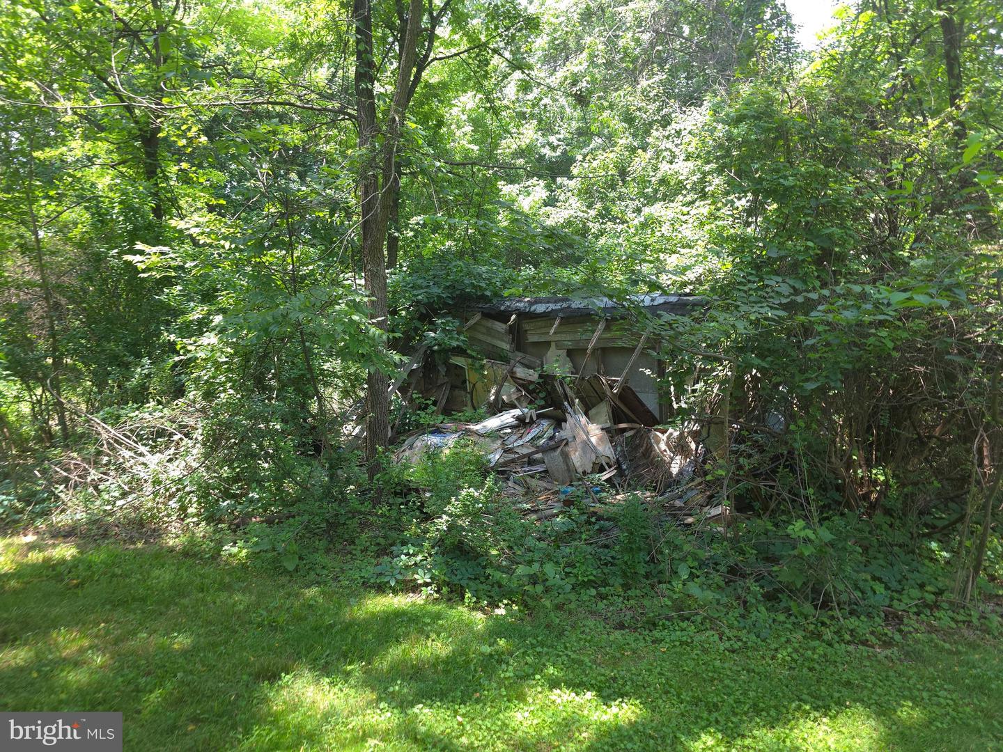 20991 GREENGARDEN RD, BLUEMONT, Virginia 20135, ,Land,For sale,20991 GREENGARDEN RD,VALO2095738 MLS # VALO2095738