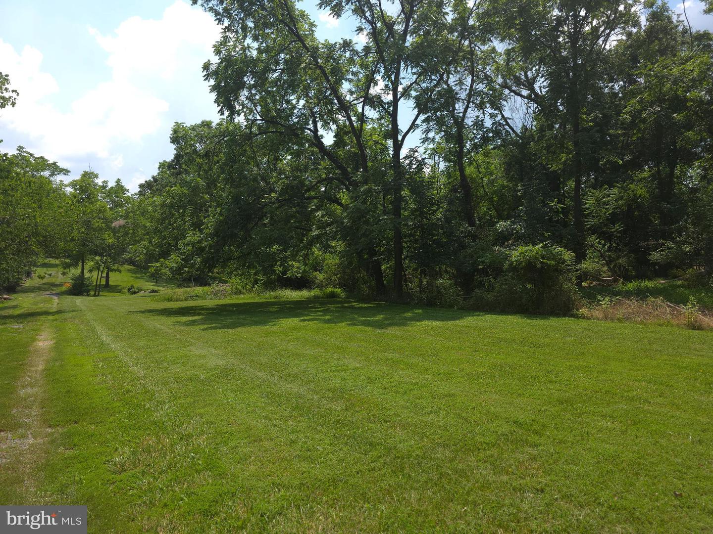20991 GREENGARDEN RD, BLUEMONT, Virginia 20135, ,Land,For sale,20991 GREENGARDEN RD,VALO2095738 MLS # VALO2095738