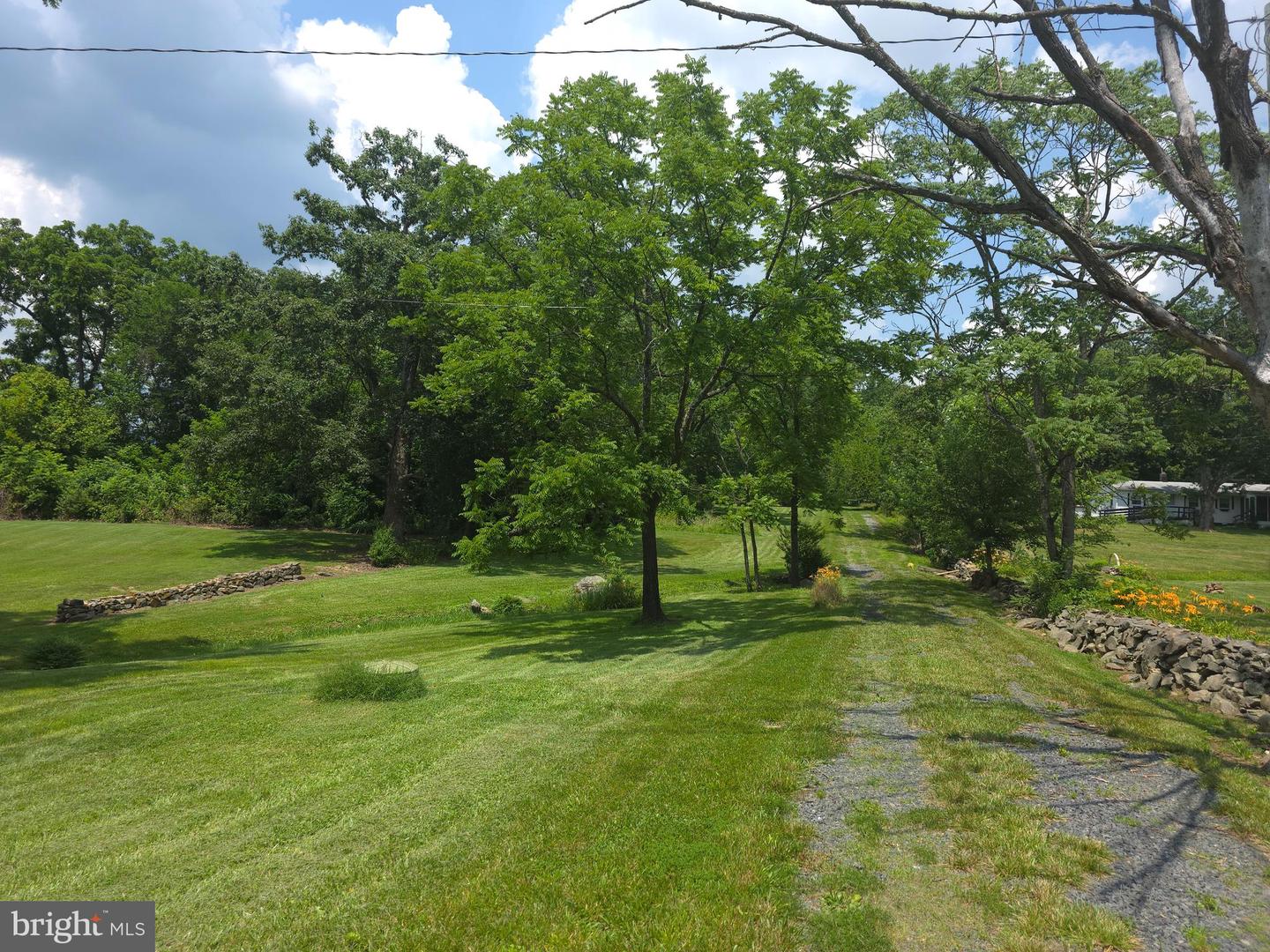 20991 GREENGARDEN RD, BLUEMONT, Virginia 20135, ,Land,For sale,20991 GREENGARDEN RD,VALO2095738 MLS # VALO2095738