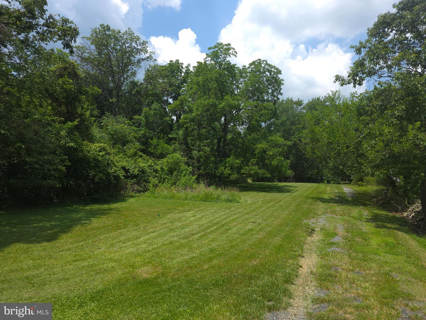 20991 GREENGARDEN RD, BLUEMONT, Virginia 20135, ,Land,For sale,20991 GREENGARDEN RD,VALO2095738 MLS # VALO2095738
