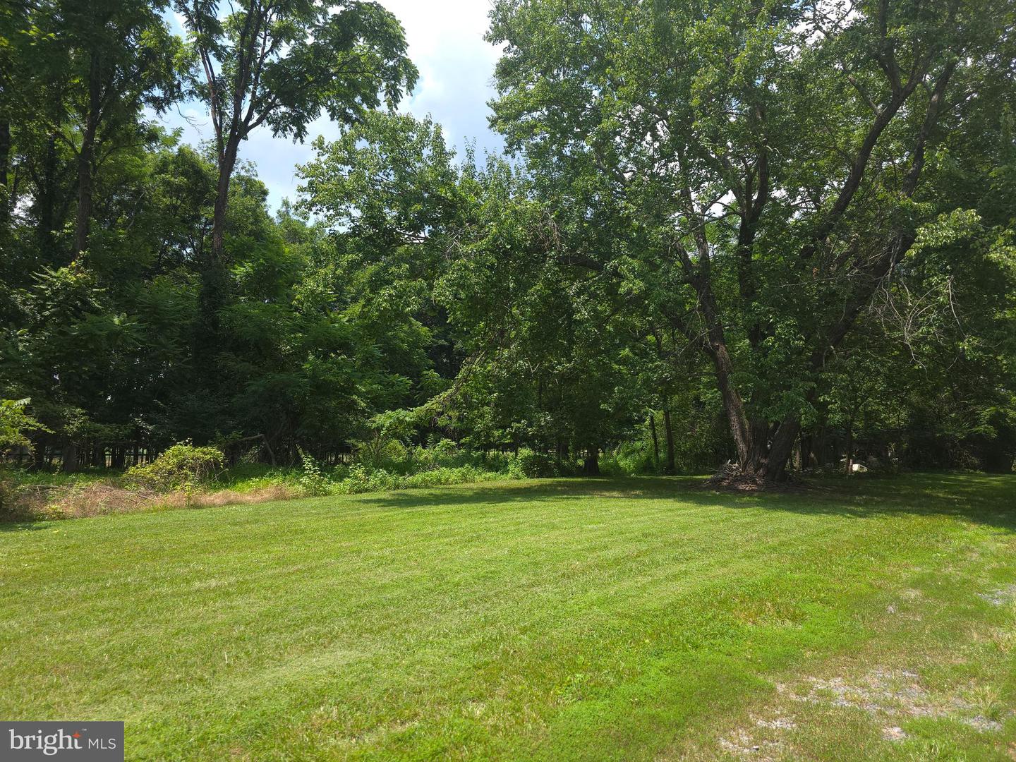 20991 GREENGARDEN RD, BLUEMONT, Virginia 20135, ,Land,For sale,20991 GREENGARDEN RD,VALO2095738 MLS # VALO2095738