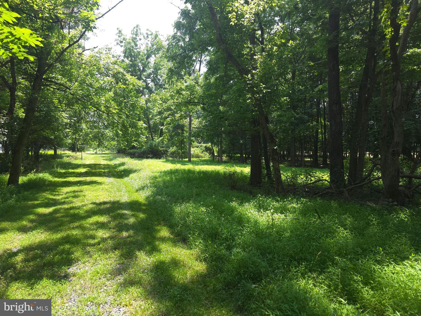 20991 GREENGARDEN RD, BLUEMONT, Virginia 20135, ,Land,For sale,20991 GREENGARDEN RD,VALO2095738 MLS # VALO2095738