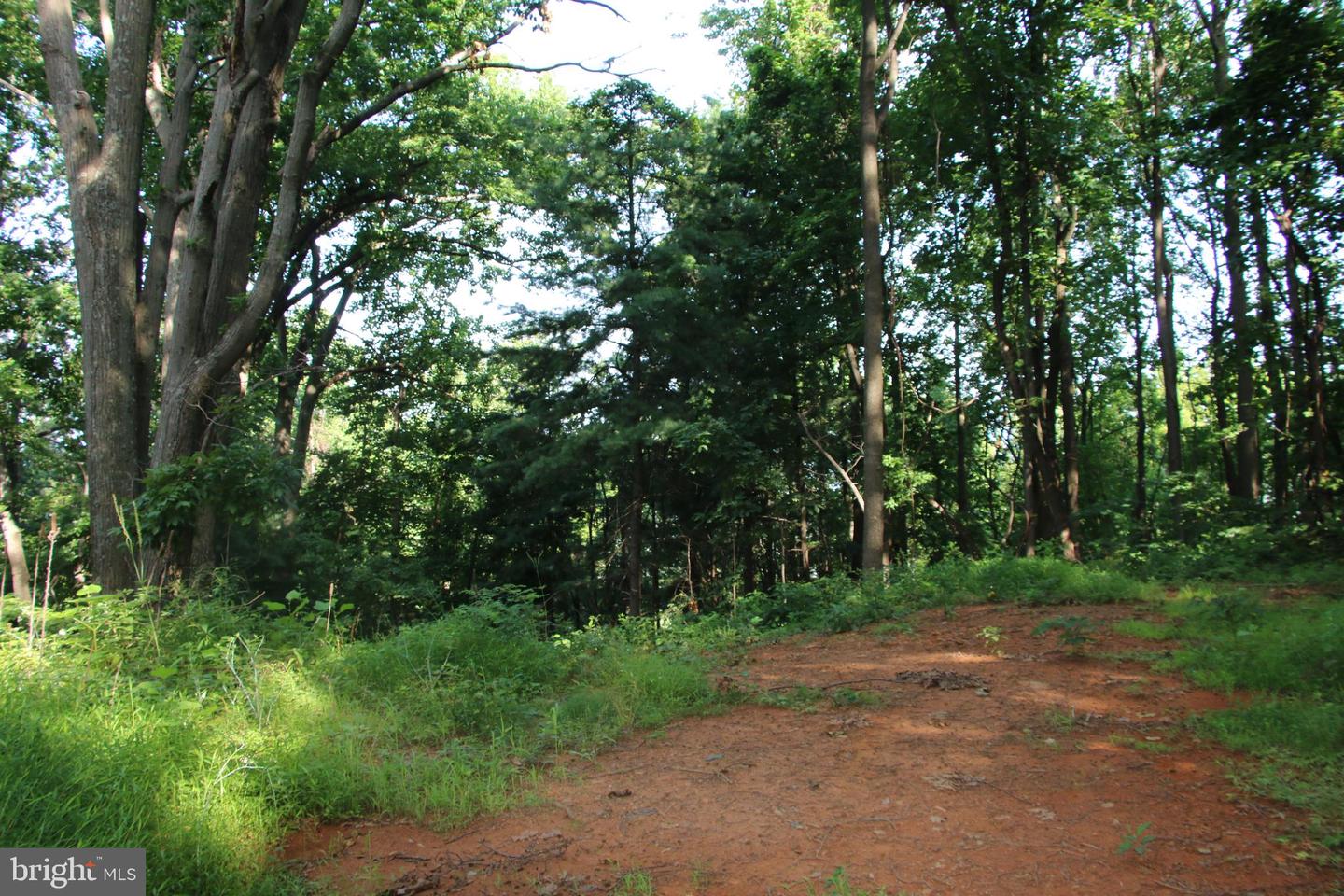 BAXTER DR, STANLEY, Virginia 22851, ,Land,For sale,BAXTER DR,VAPA2005218 MLS # VAPA2005218