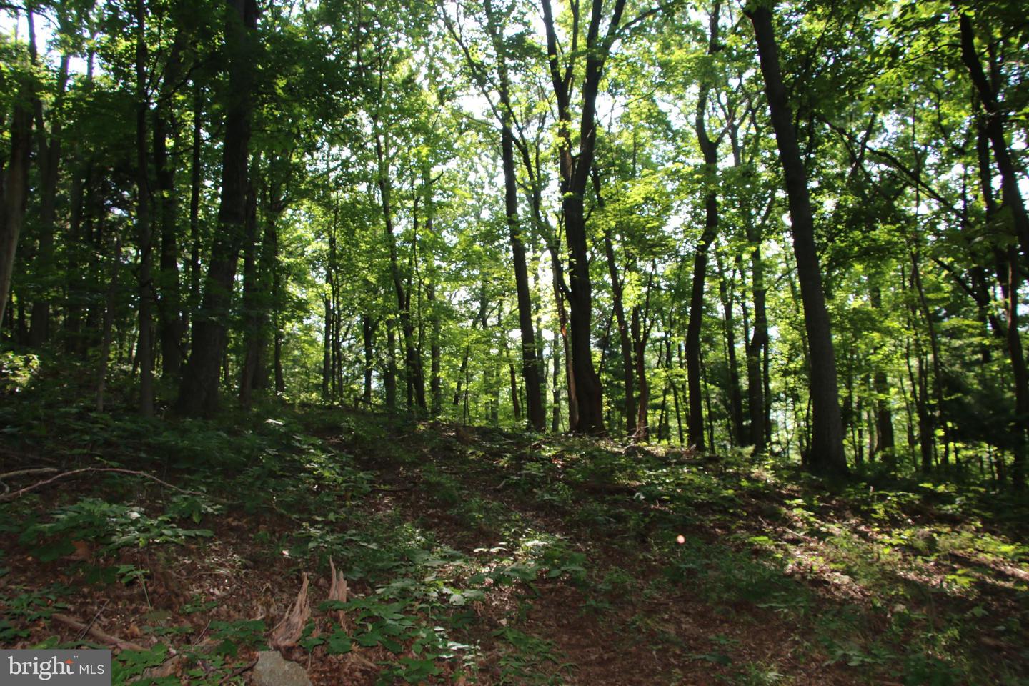BAXTER DR, STANLEY, Virginia 22851, ,Land,For sale,BAXTER DR,VAPA2005218 MLS # VAPA2005218