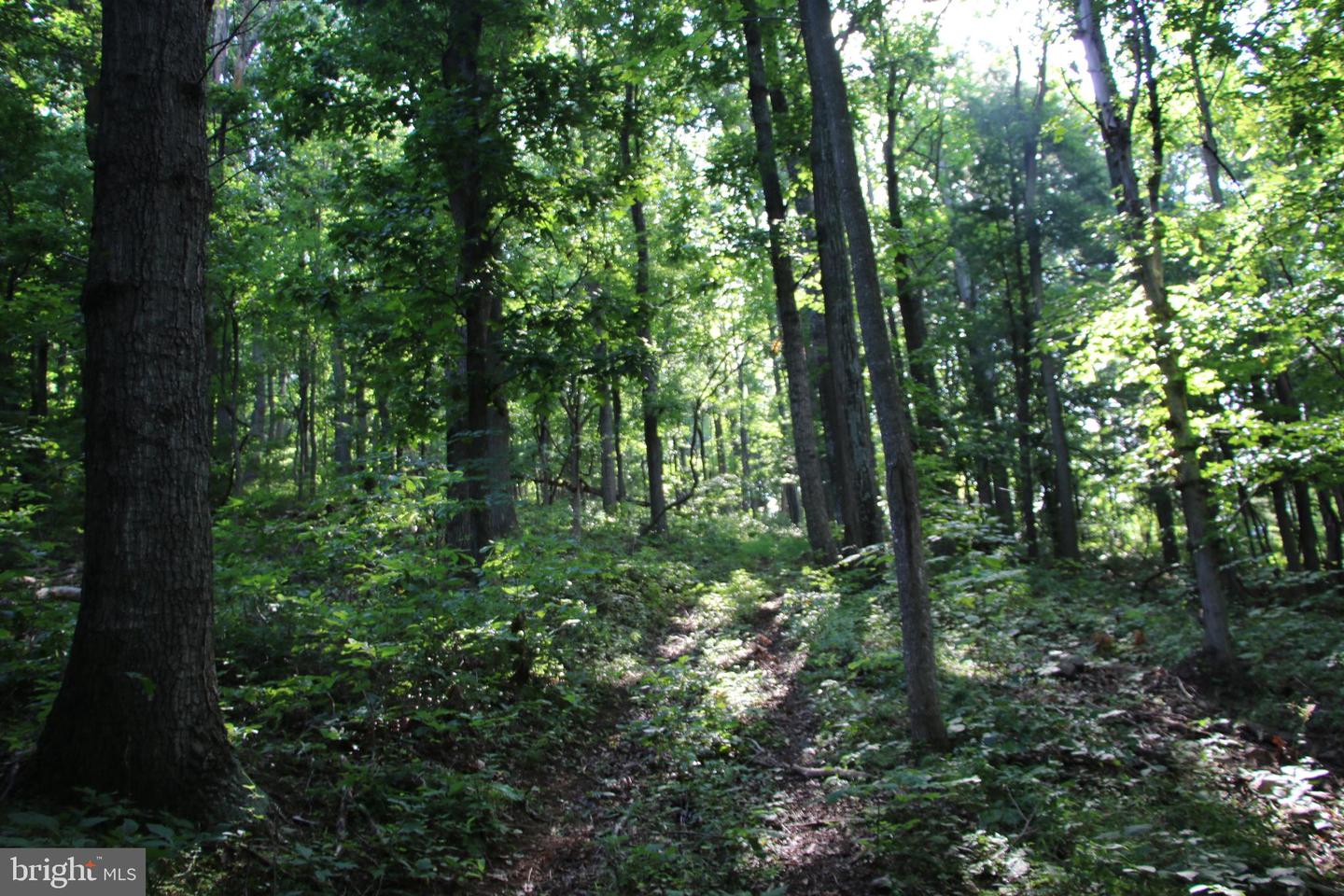 BAXTER DR, STANLEY, Virginia 22851, ,Land,For sale,BAXTER DR,VAPA2005218 MLS # VAPA2005218