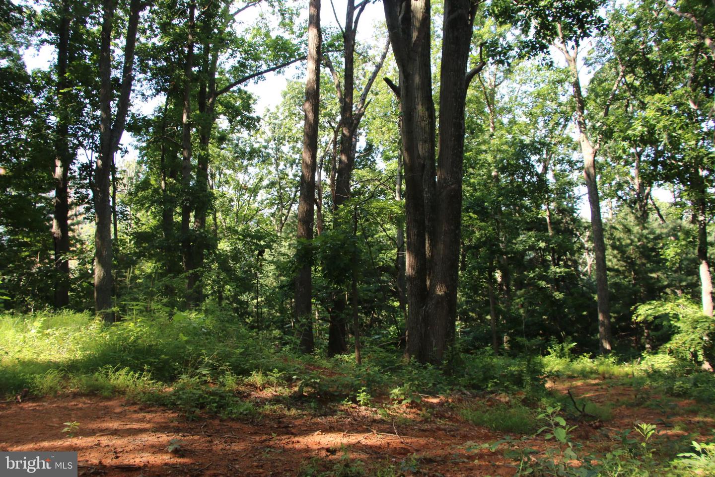 BAXTER DR, STANLEY, Virginia 22851, ,Land,For sale,BAXTER DR,VAPA2005218 MLS # VAPA2005218