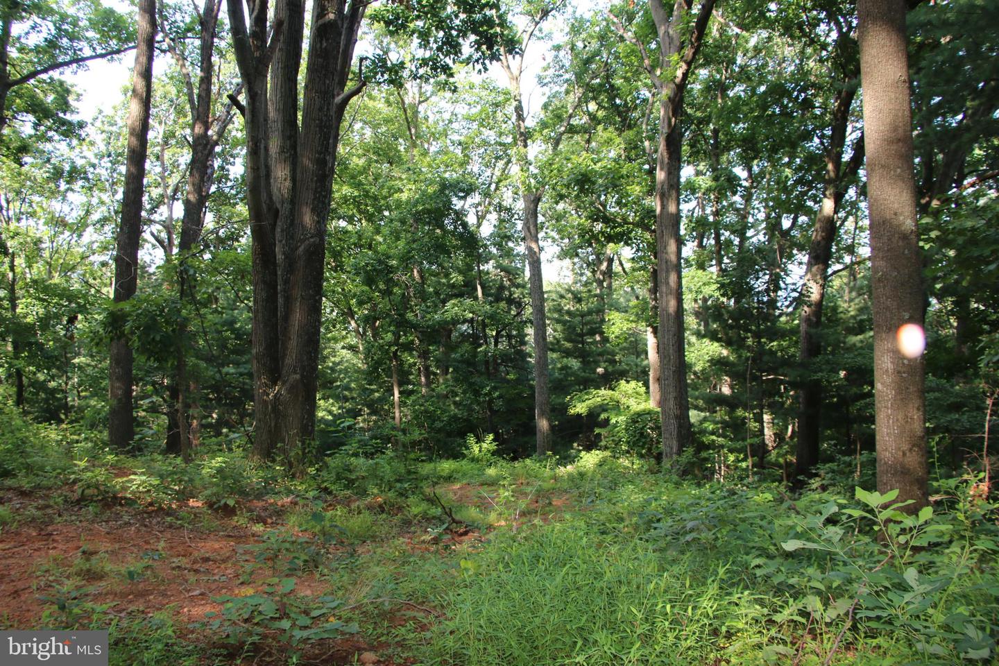 BAXTER DR, STANLEY, Virginia 22851, ,Land,For sale,BAXTER DR,VAPA2005218 MLS # VAPA2005218