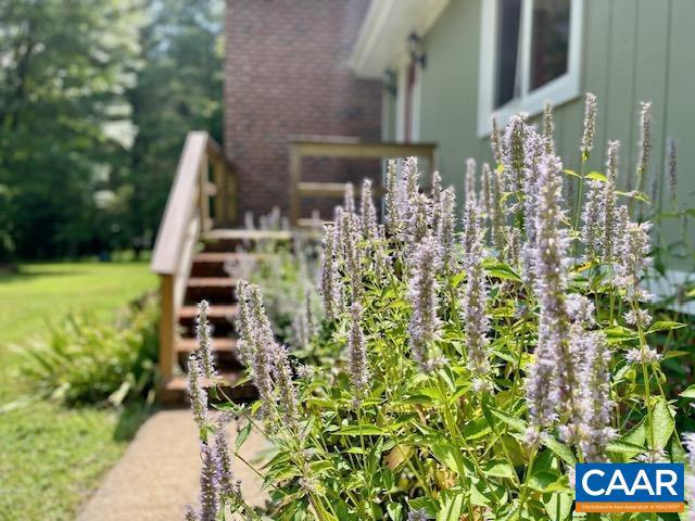 7489 EASTWOOD LN, SCHUYLER, Virginia 22969, 4 Bedrooms Bedrooms, ,2 BathroomsBathrooms,Residential,For sale,7489 EASTWOOD LN,667270 MLS # 667270
