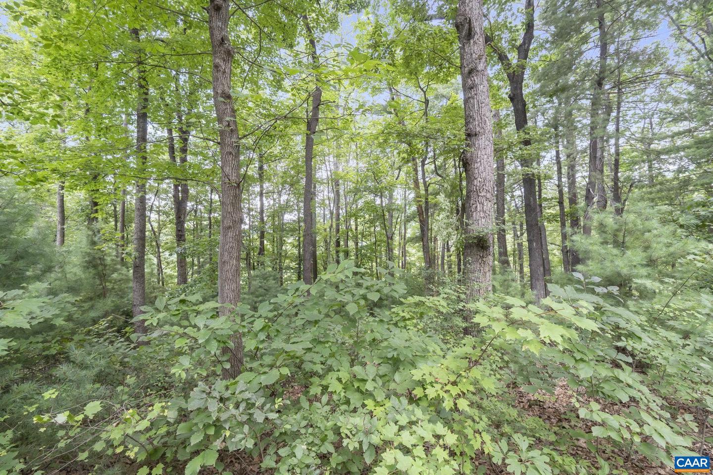 1211 LANETOWN RD, CROZET, Virginia 22932, 3 Bedrooms Bedrooms, ,2 BathroomsBathrooms,Residential,For sale,1211 LANETOWN RD,667520 MLS # 667520