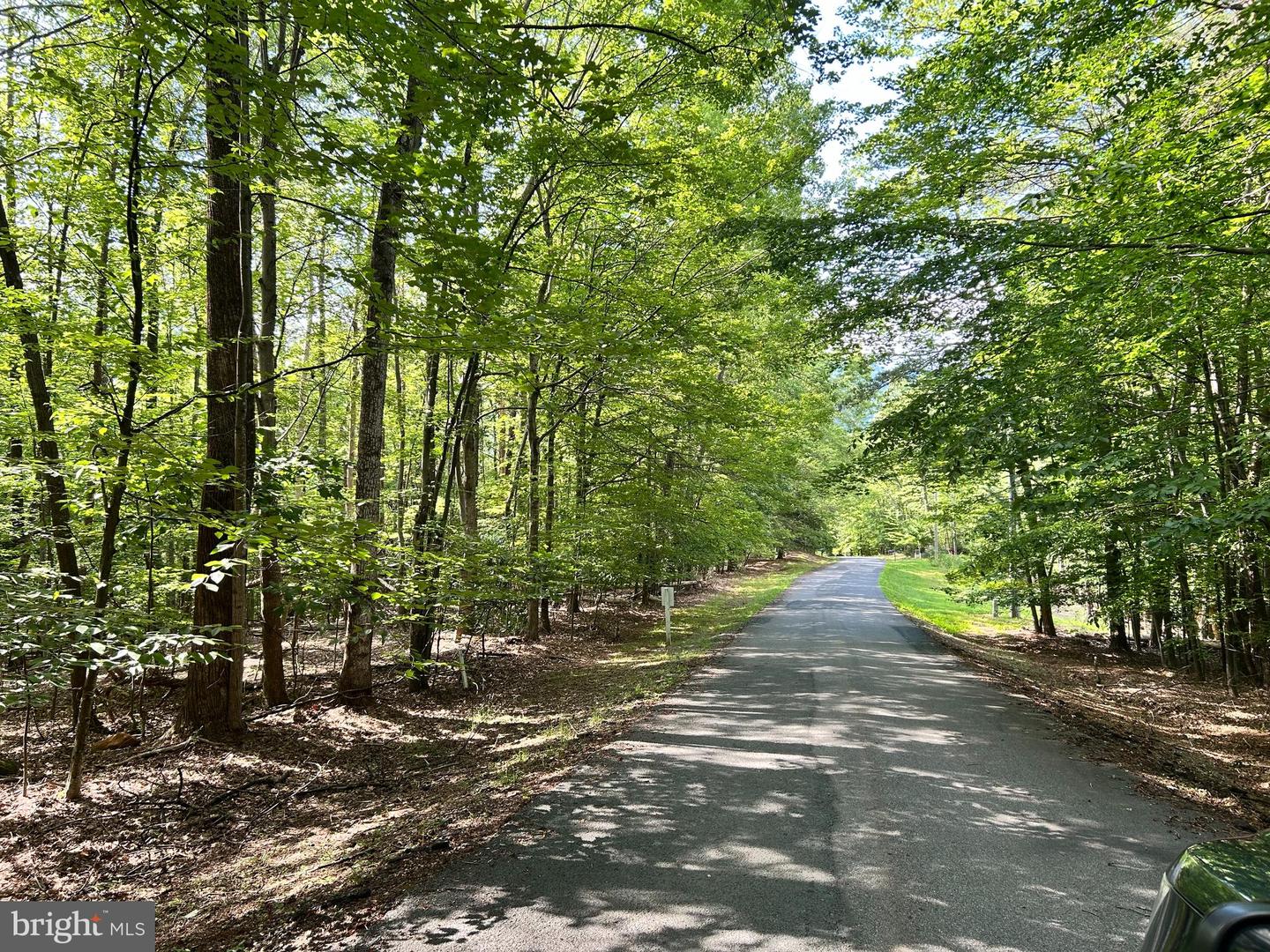 0 DOGWOOD LANE, NELLYSFORD, Virginia 22958, ,Land,For sale,0 DOGWOOD LANE,VANL2000436 MLS # VANL2000436