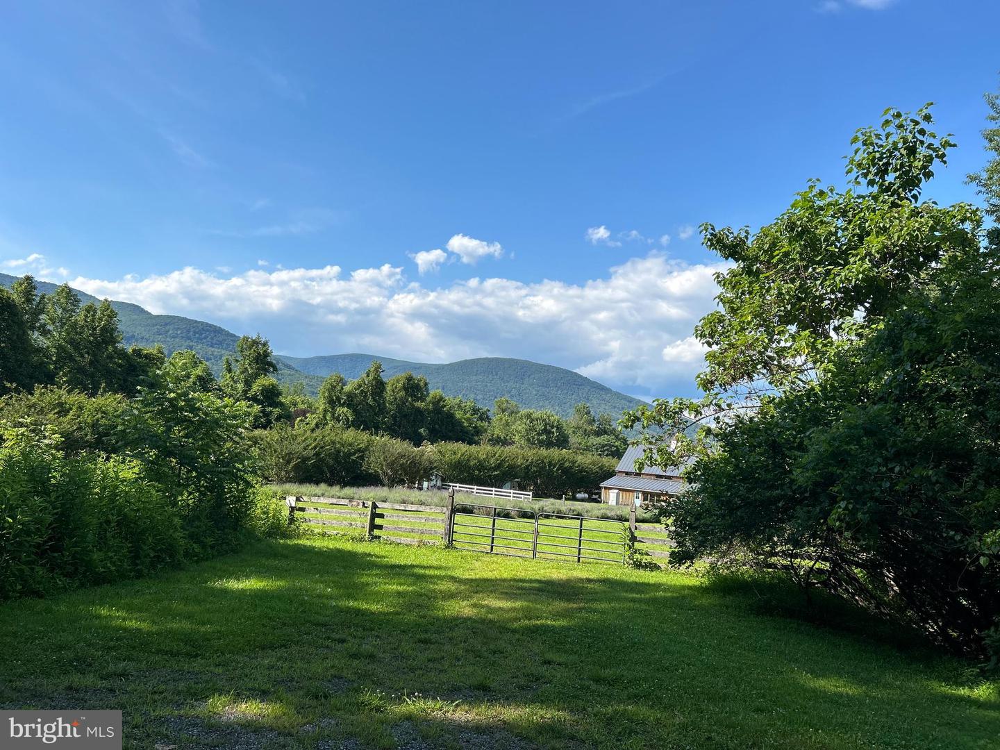 0 DOGWOOD LANE, NELLYSFORD, Virginia 22958, ,Land,For sale,0 DOGWOOD LANE,VANL2000436 MLS # VANL2000436