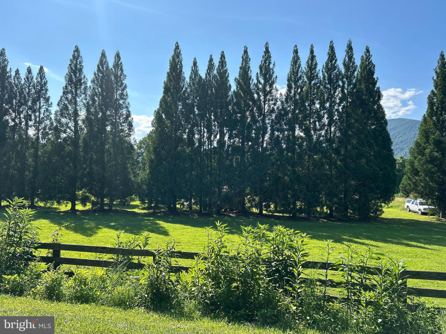 0 DOGWOOD LANE, NELLYSFORD, Virginia 22958, ,Land,For sale,0 DOGWOOD LANE,VANL2000436 MLS # VANL2000436