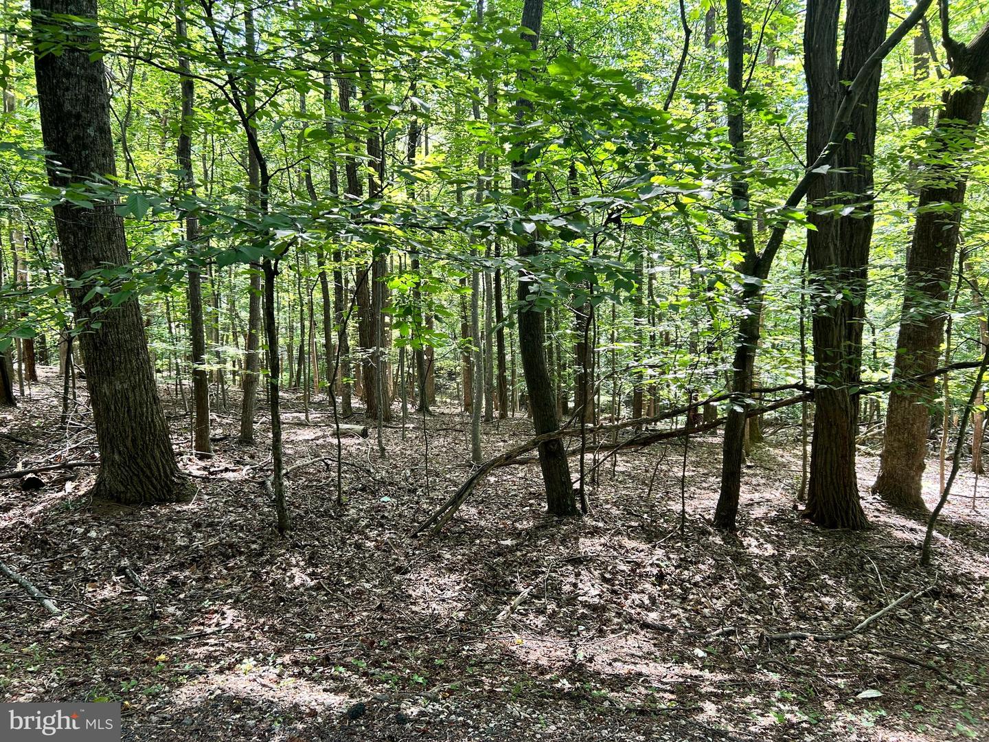 0 DOGWOOD LANE, NELLYSFORD, Virginia 22958, ,Land,For sale,0 DOGWOOD LANE,VANL2000436 MLS # VANL2000436