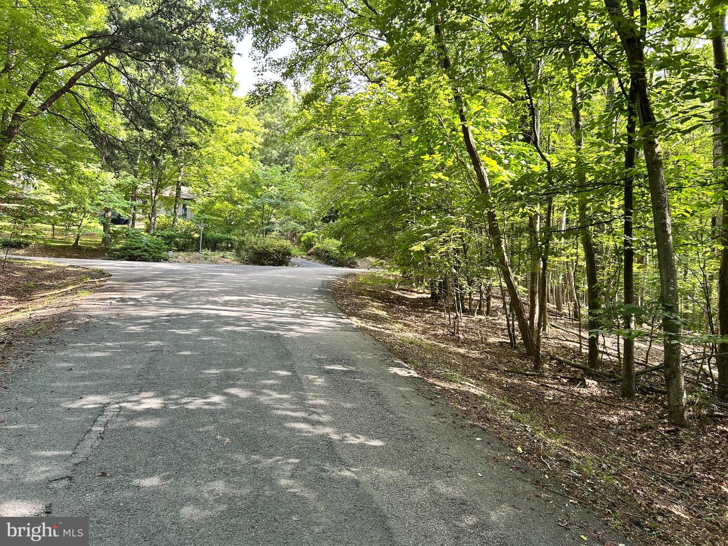 0 DOGWOOD LANE, NELLYSFORD, Virginia 22958, ,Land,For sale,0 DOGWOOD LANE,VANL2000436 MLS # VANL2000436