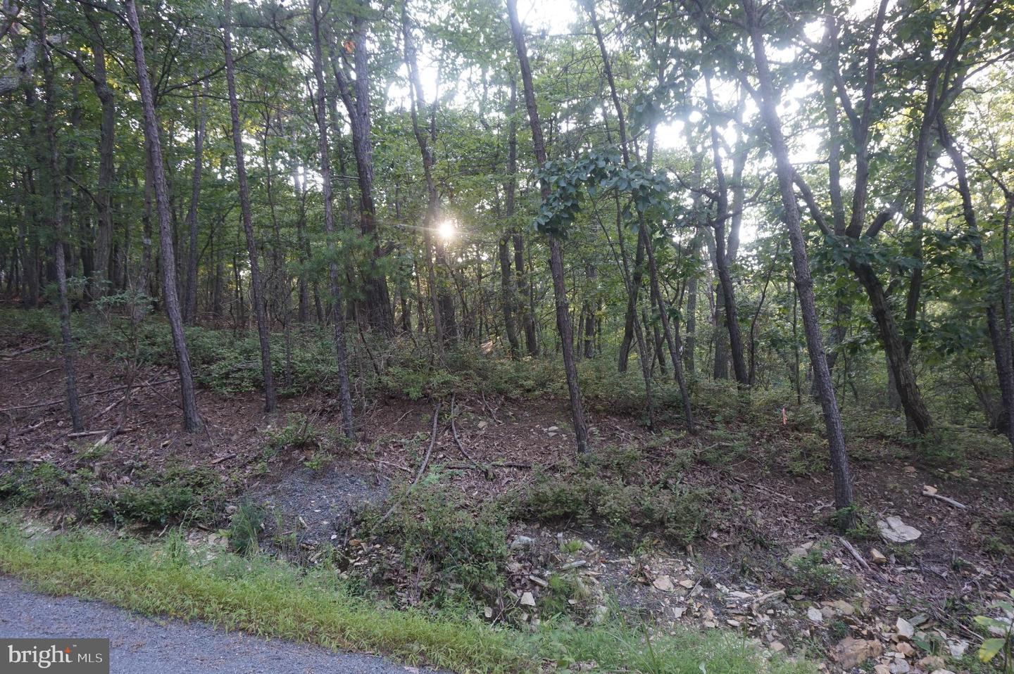 1504 DUFFEY DR, HAYMARKET, Virginia 20169, ,Land,For sale,1504 DUFFEY DR,VAPW2100780 MLS # VAPW2100780