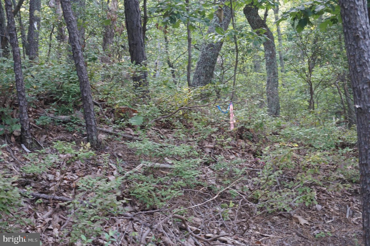 1504 DUFFEY DR, HAYMARKET, Virginia 20169, ,Land,For sale,1504 DUFFEY DR,VAPW2100780 MLS # VAPW2100780
