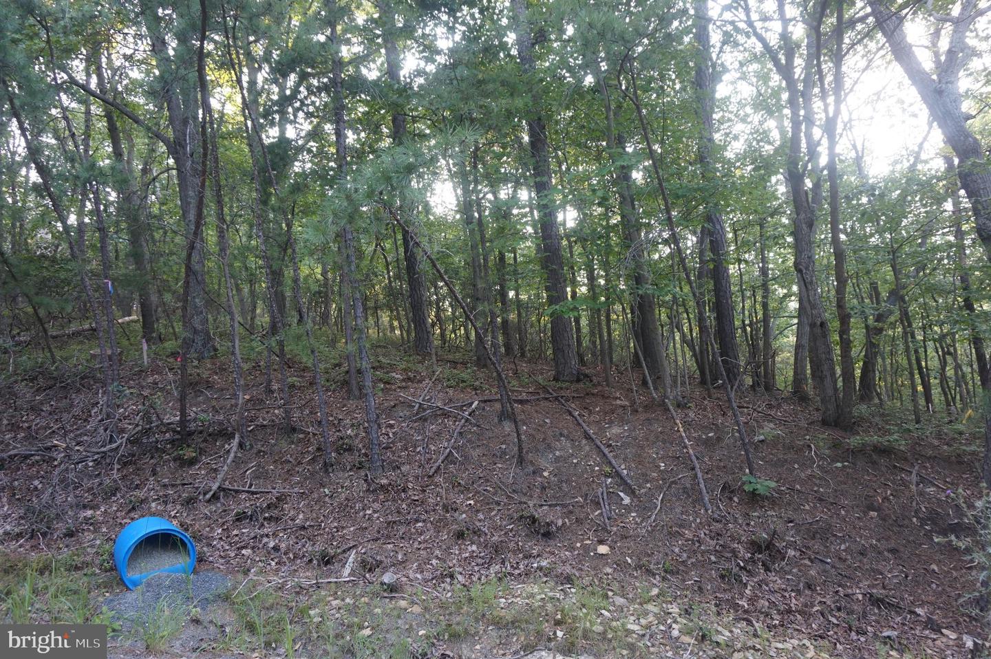 1504 DUFFEY DR, HAYMARKET, Virginia 20169, ,Land,For sale,1504 DUFFEY DR,VAPW2100780 MLS # VAPW2100780