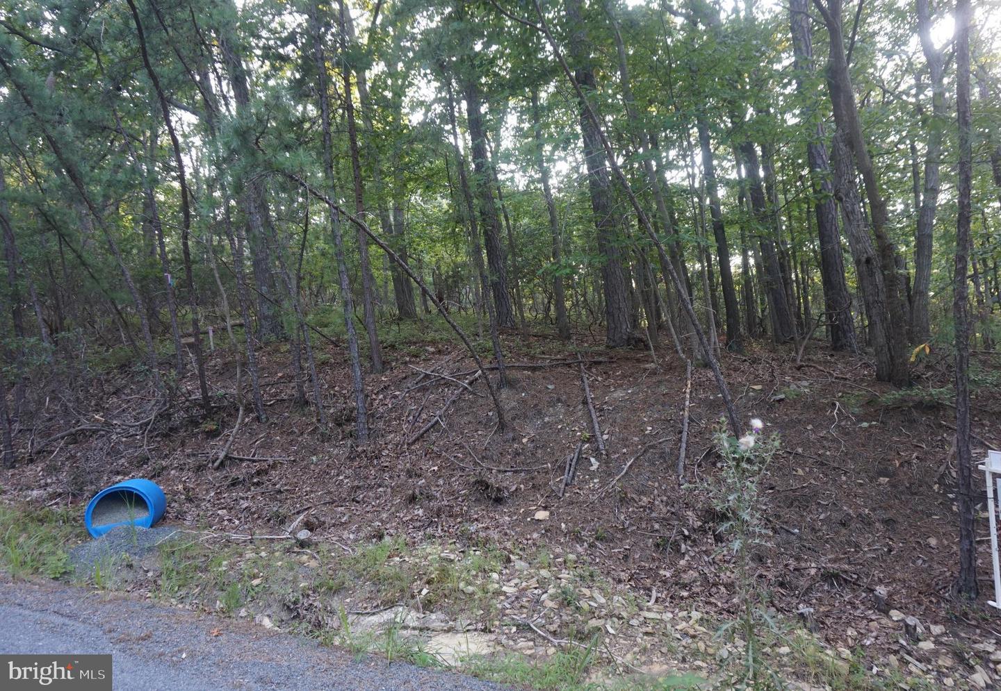 1504 DUFFEY DR, HAYMARKET, Virginia 20169, ,Land,For sale,1504 DUFFEY DR,VAPW2100780 MLS # VAPW2100780